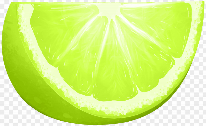 Lime Slice Clip Art Image Lemon-lime Drink Green PNG