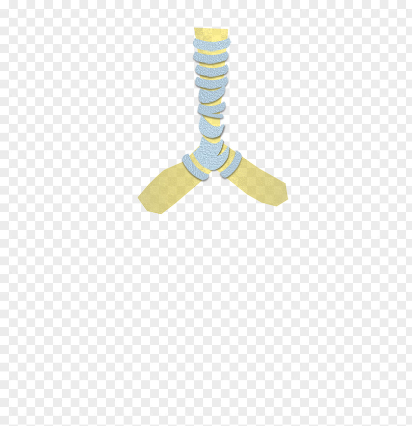 Trachea Line PNG