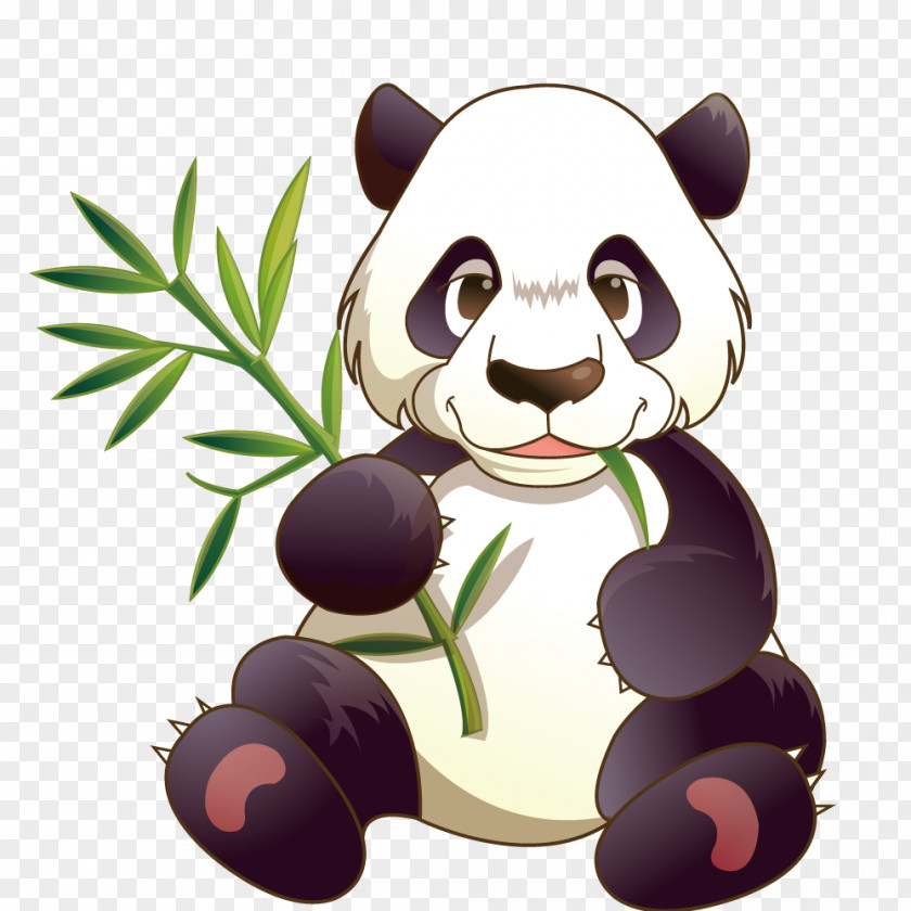 Vector Panda Animal World Giant Red Bamboo Illustration PNG