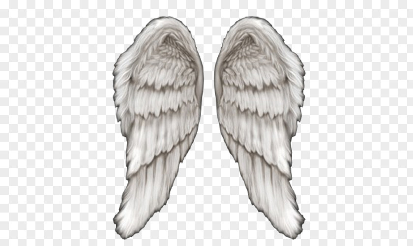 Angel Wings Drawing Clip Art PNG
