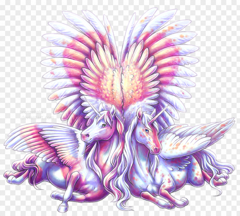 Fairy Winged Unicorn Horse Pegasus PNG