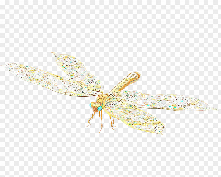 Pest Membranewinged Insect Dragonfly PNG
