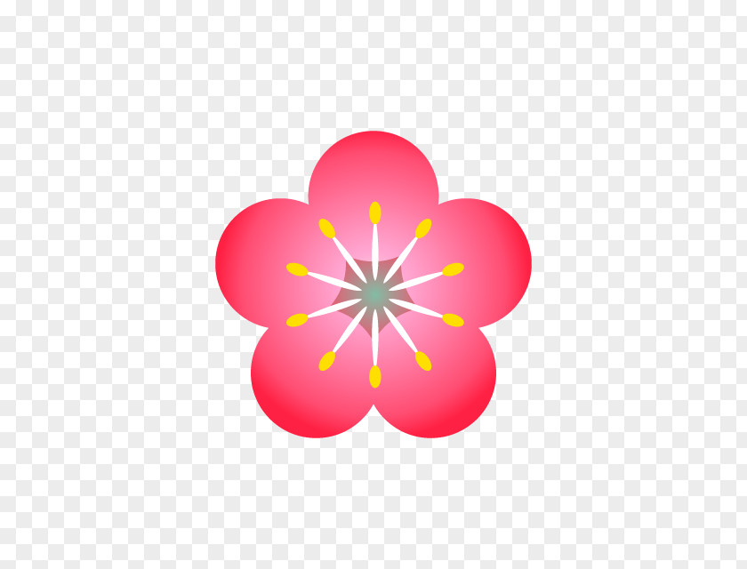 Plum Blossom Cherry Clip Art PNG