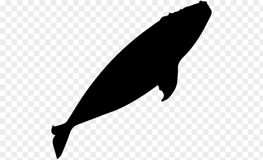 Whale Free Download Whales Clip Art PNG