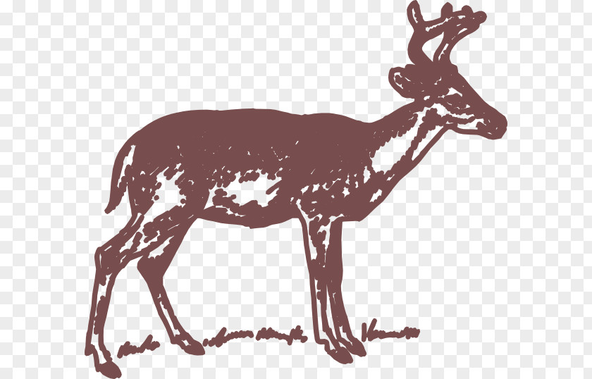 Deer Vector White-tailed Clip Art PNG
