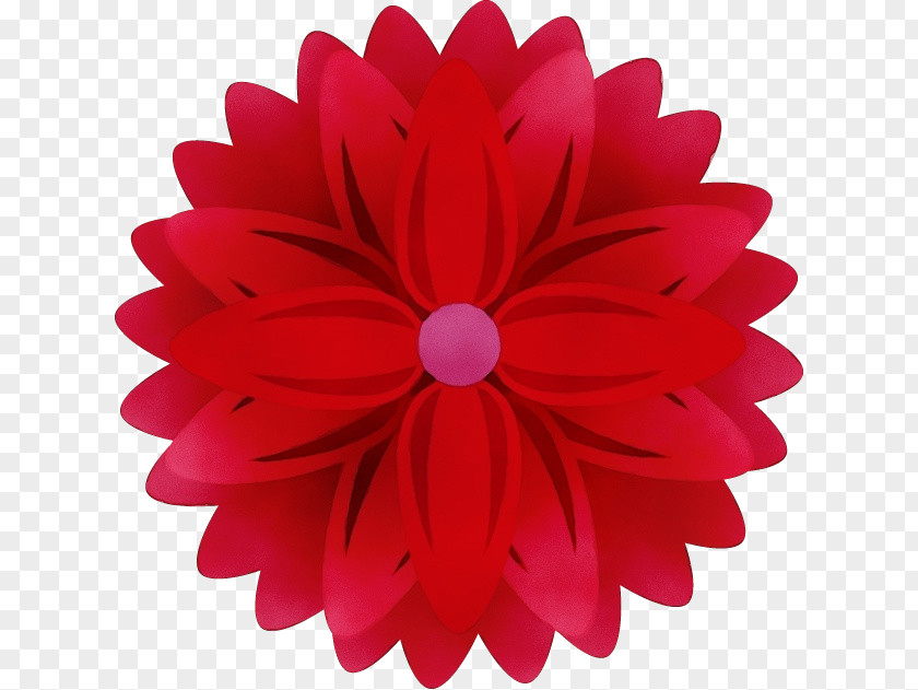 Headband Headgear Petal Red Pink Gerbera Flower PNG