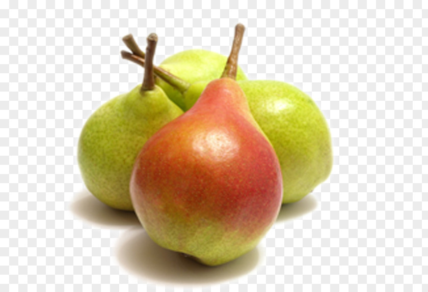 Pear European Fruit Auglis PNG