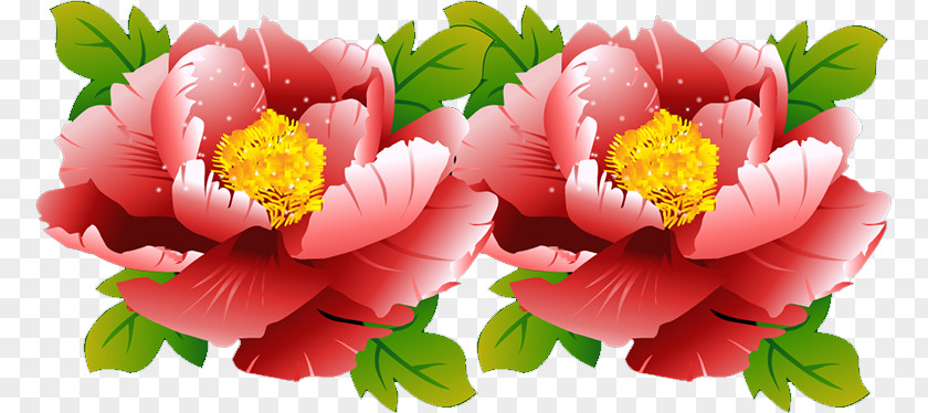 Peony Floral Design Cut Flowers Herbaceous Plant Petal PNG