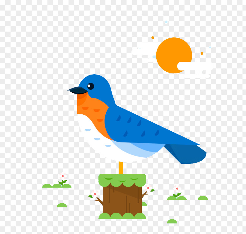 Bird Illustration Royalty-free PNG