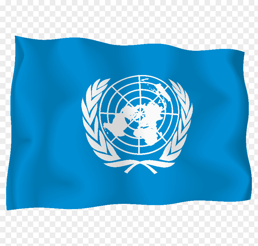 Flag United Nations Headquarters Of The Office For Coordination Humanitarian Affairs PNG