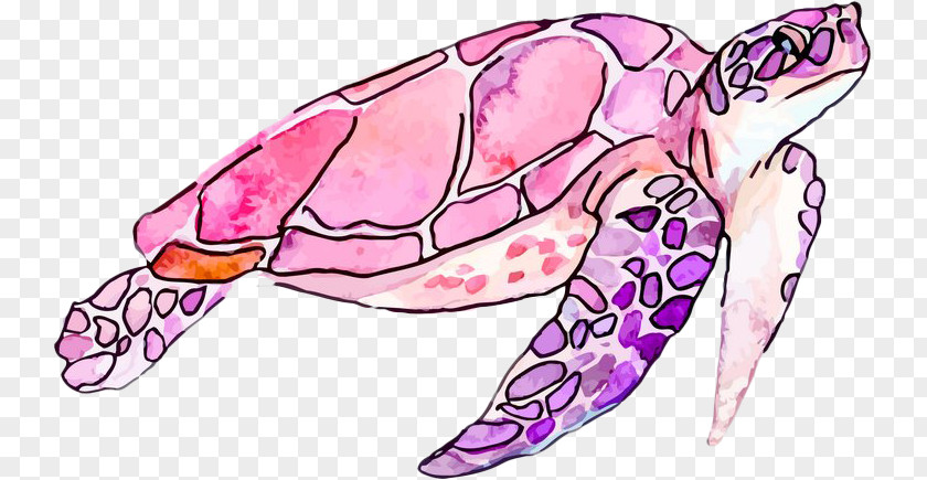 Painted Pink Turtle Watercolor Painting Illustration PNG