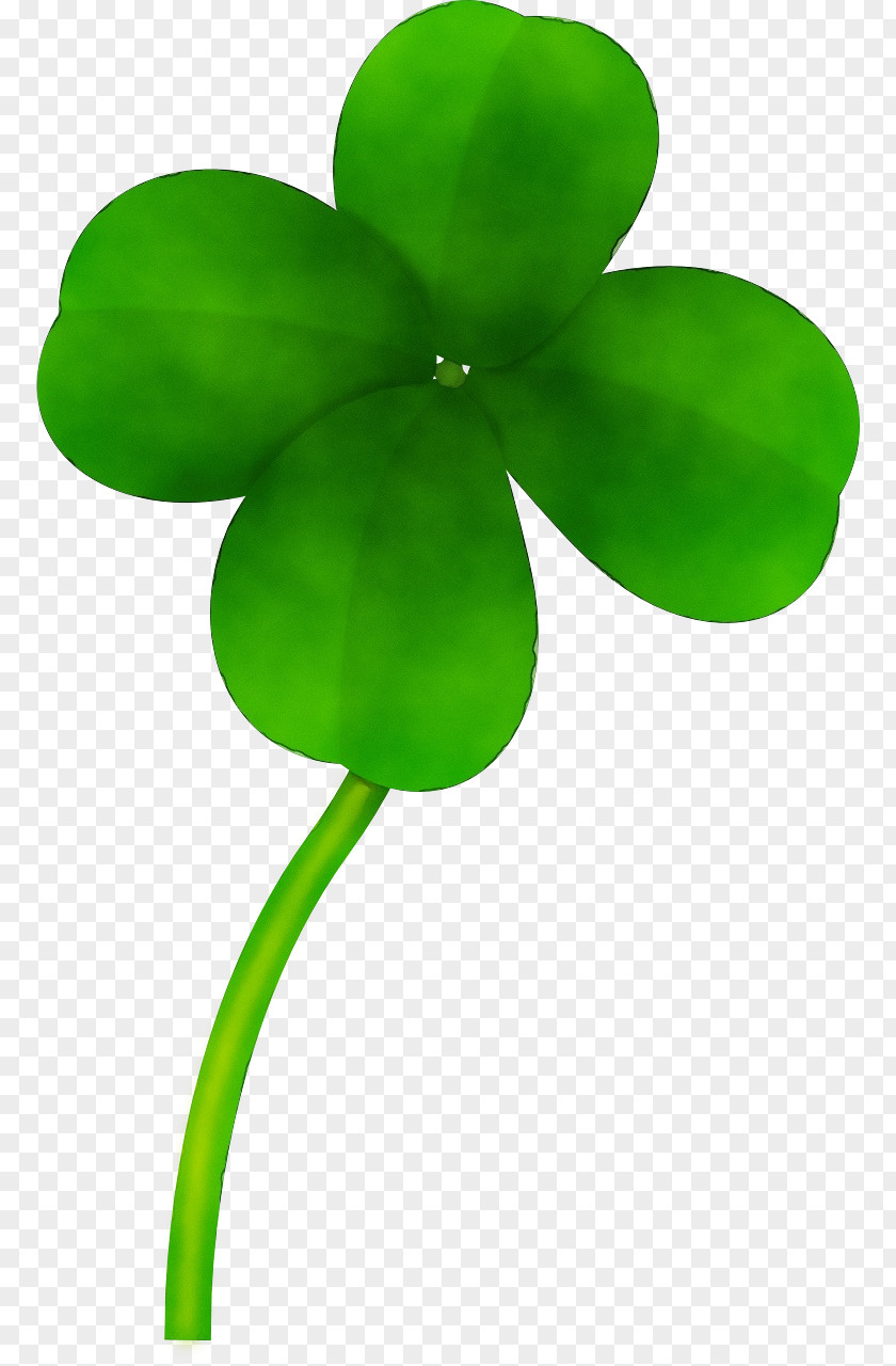 Plant Stem Symbol Green Leaf Clover Flower PNG