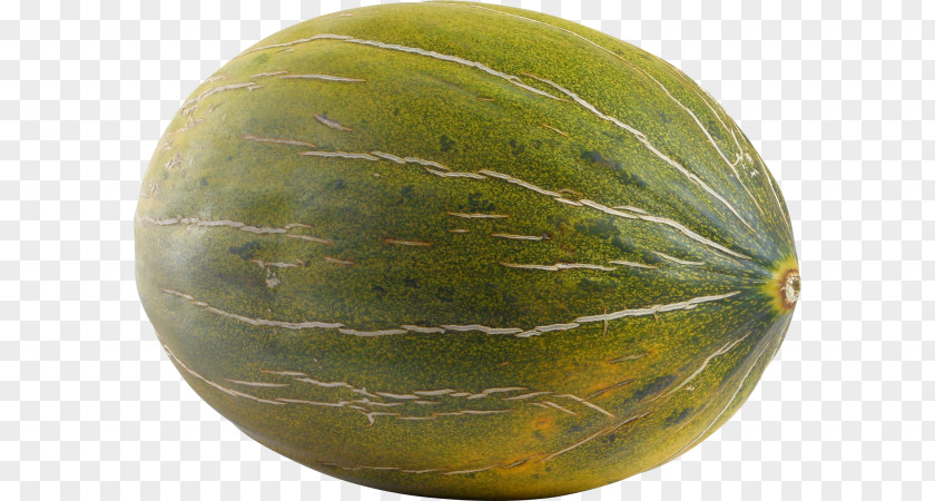 Cantaloupe Pure Honeydew Galia Melon Watermelon PNG