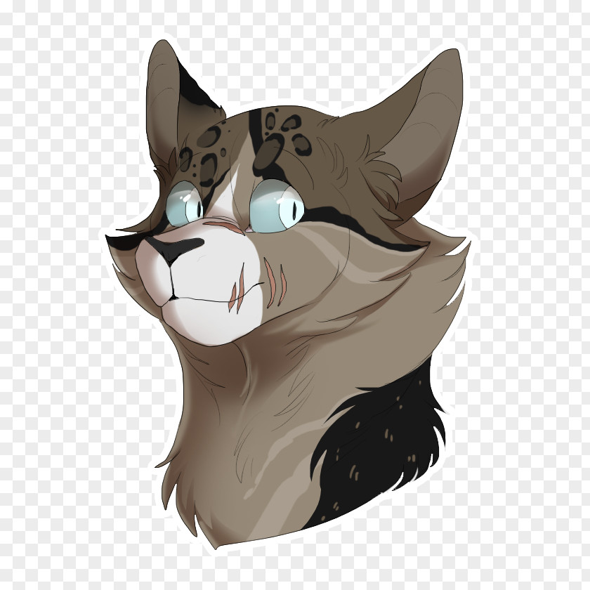 Cat Whiskers Snout Cartoon PNG
