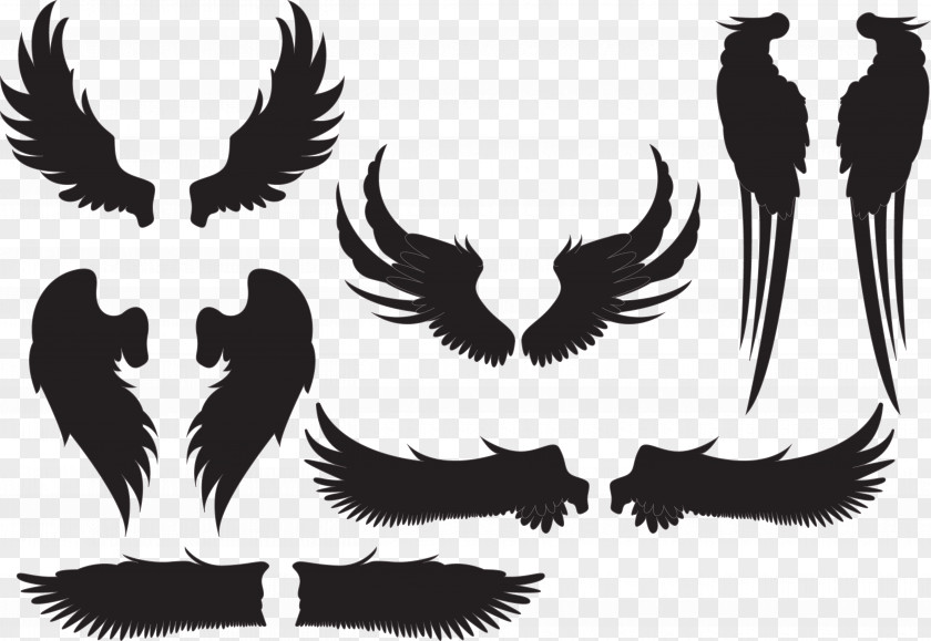 Creative Wings Collection Silhouette Euclidean Vector PNG