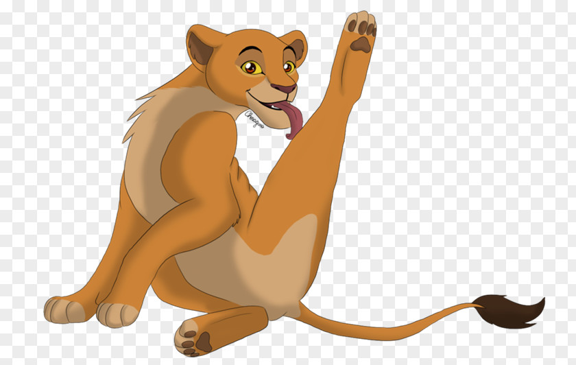 Lion Cougar Animal Mammal Rodent PNG