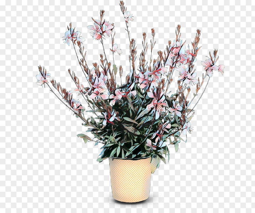 Perennial Plant Heather Flowers Background PNG