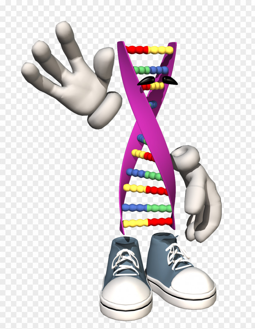 All The Way Peers Human Genome Project DNA Nucleic Acid Double Helix Cell PNG