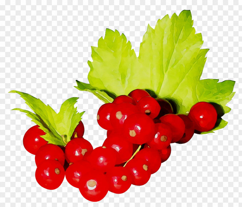 Gooseberry Zante Currant Strawberry Raspberry Cranberry PNG
