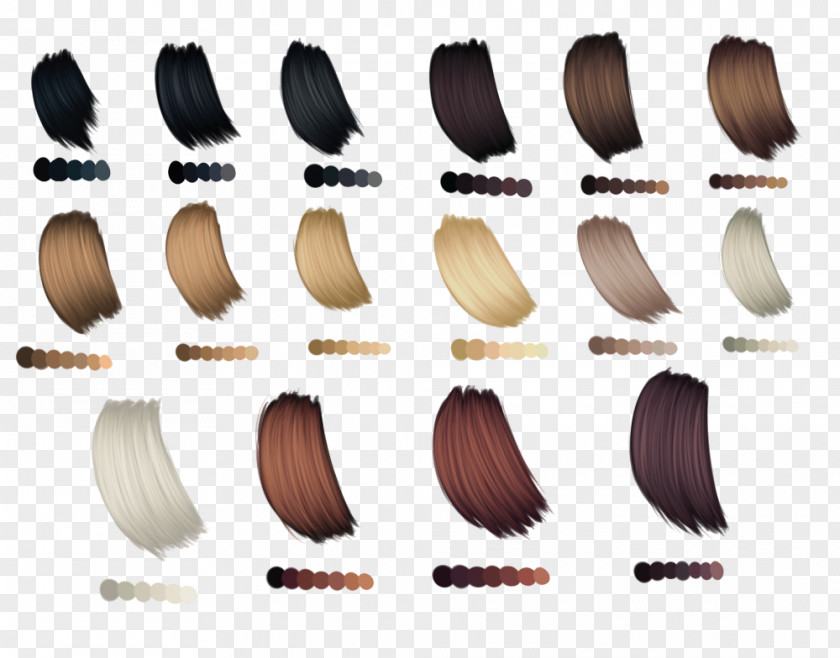 Hair Coloring Palette Human Color PNG