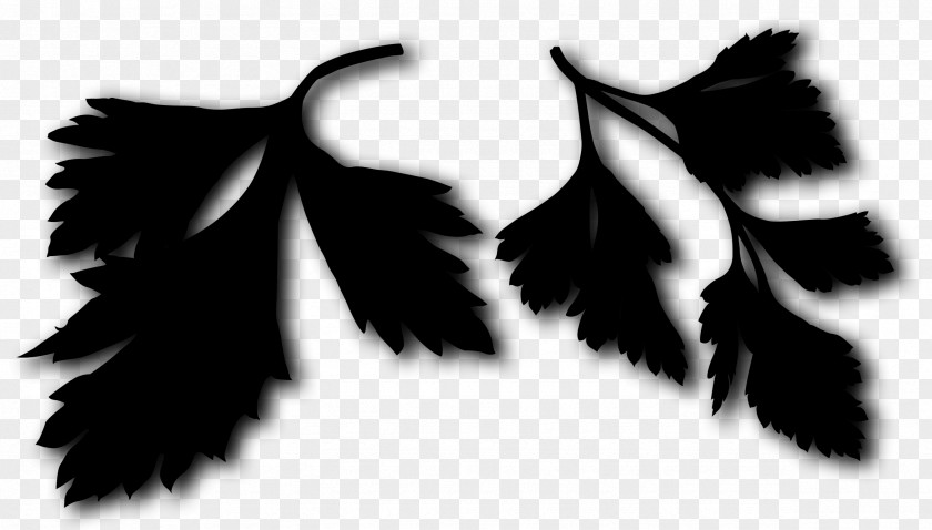 Leaf Font Silhouette PNG