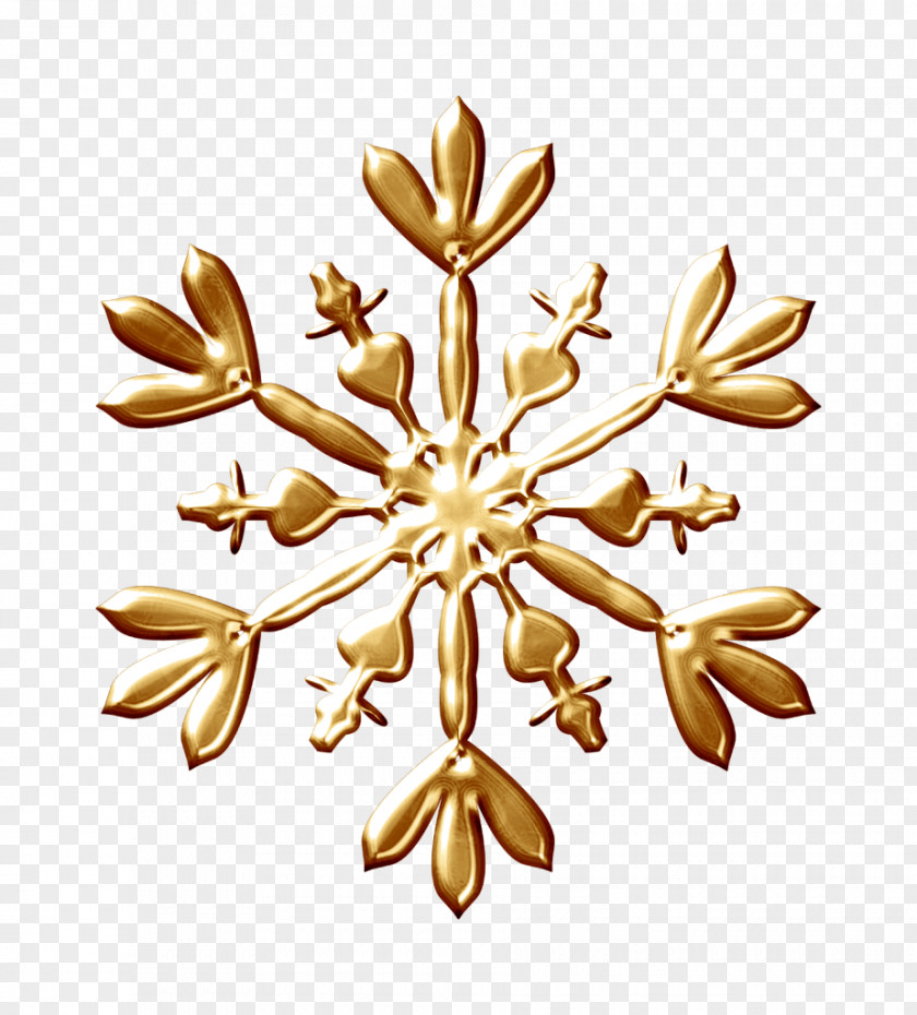 Snowflake Photography Clip Art PNG