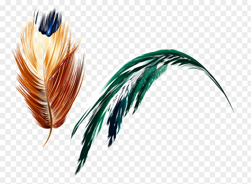 Arts Feather Art Light PNG