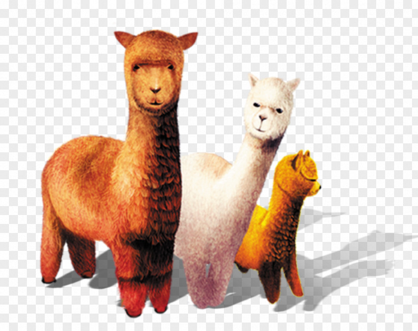 Cartoon Sheep Alpaca Grass Mud Horse Llama Stuffed Toy PNG