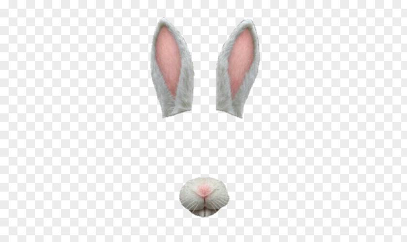 Filter Snap Chat Easter Bunny Rabbit Sticker PNG