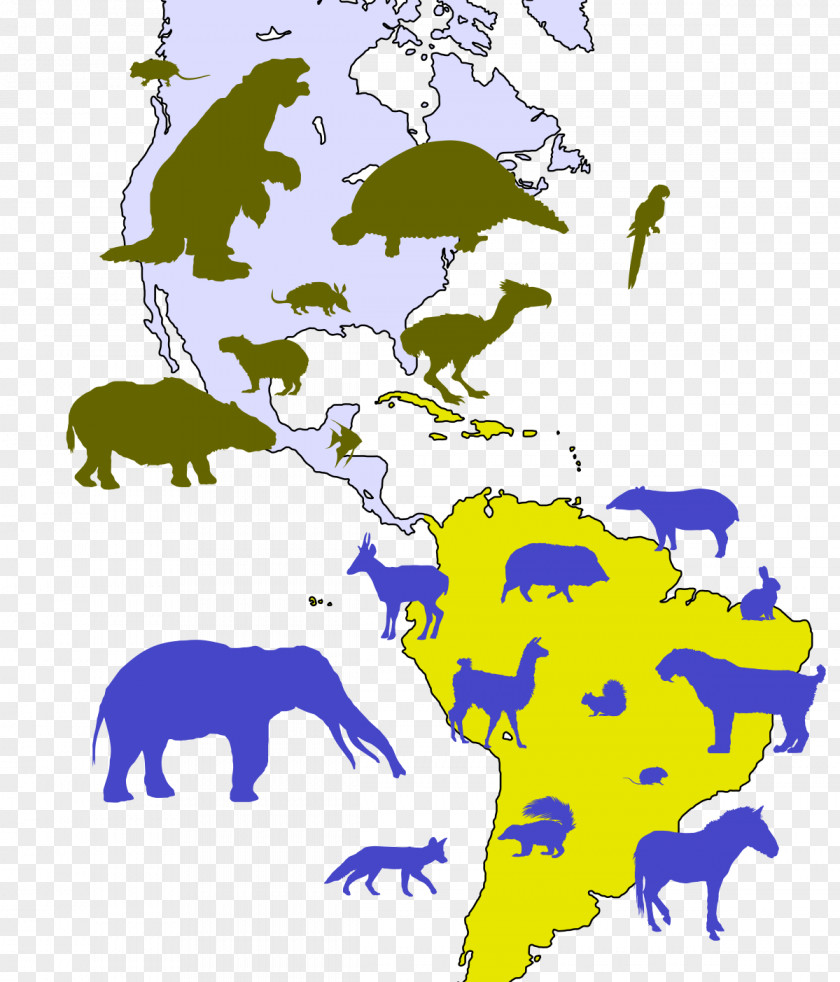 Geography Isthmus Cliparts United States Of Panama Great American Interchange Pliocene Central Seaway PNG