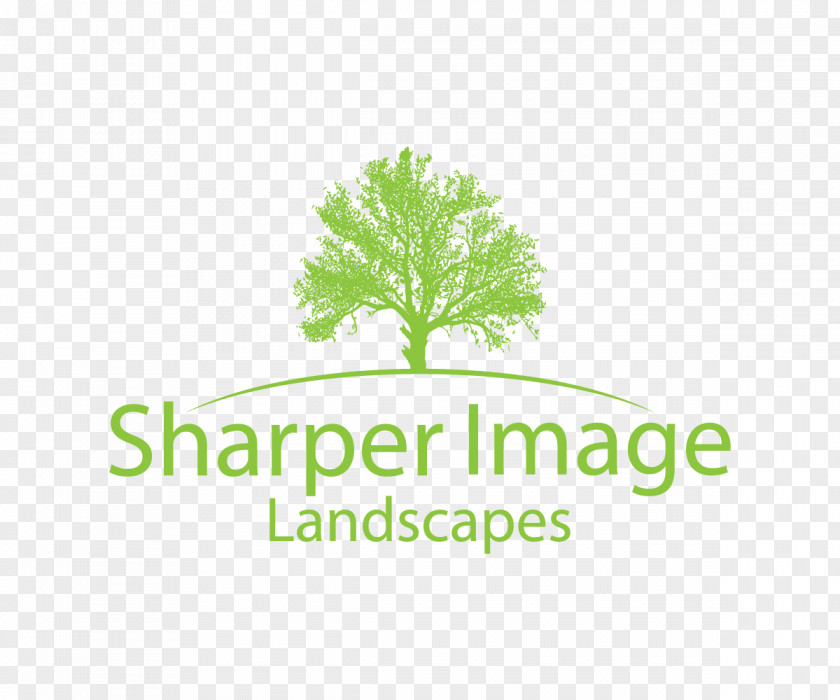 Landscape Logo Tree Of Life Text Leaf Vegetable PNG