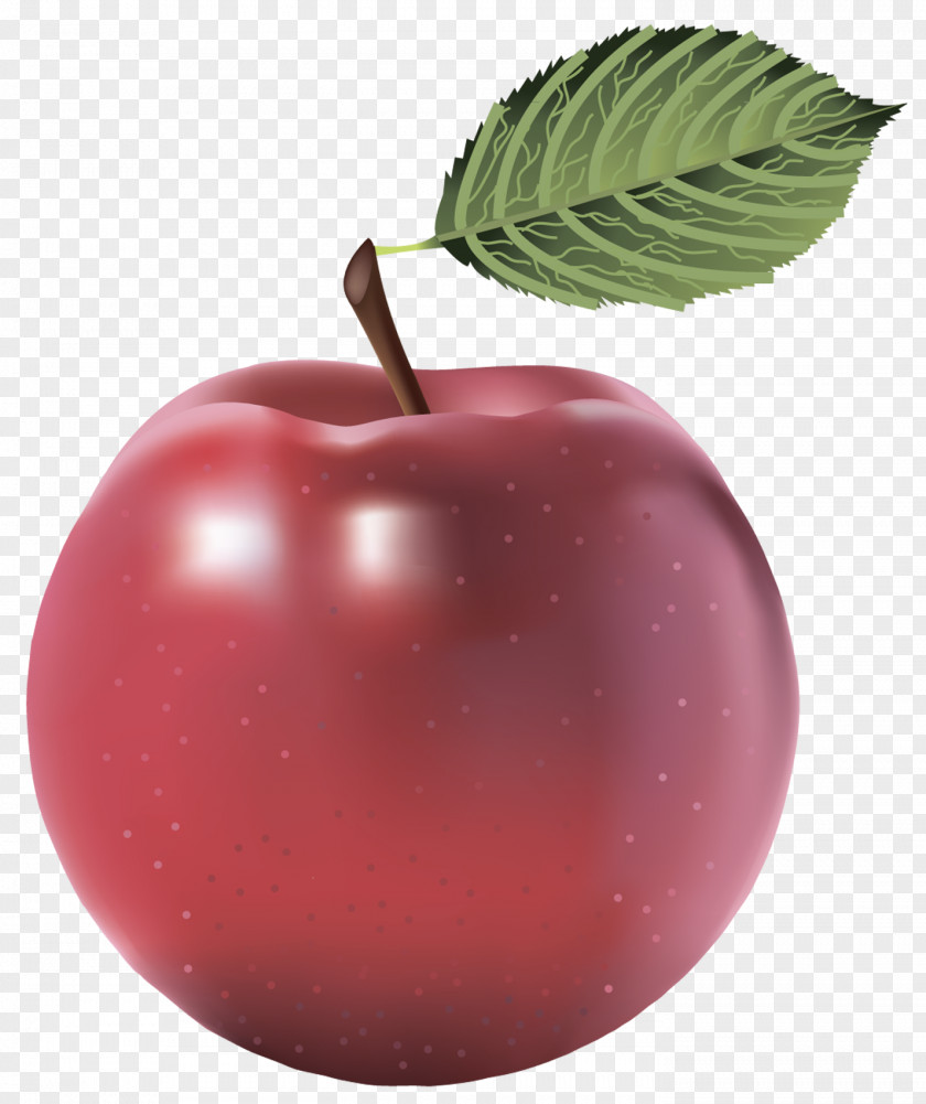 Large Red Painted Apple Clipart Juice Clip Art PNG