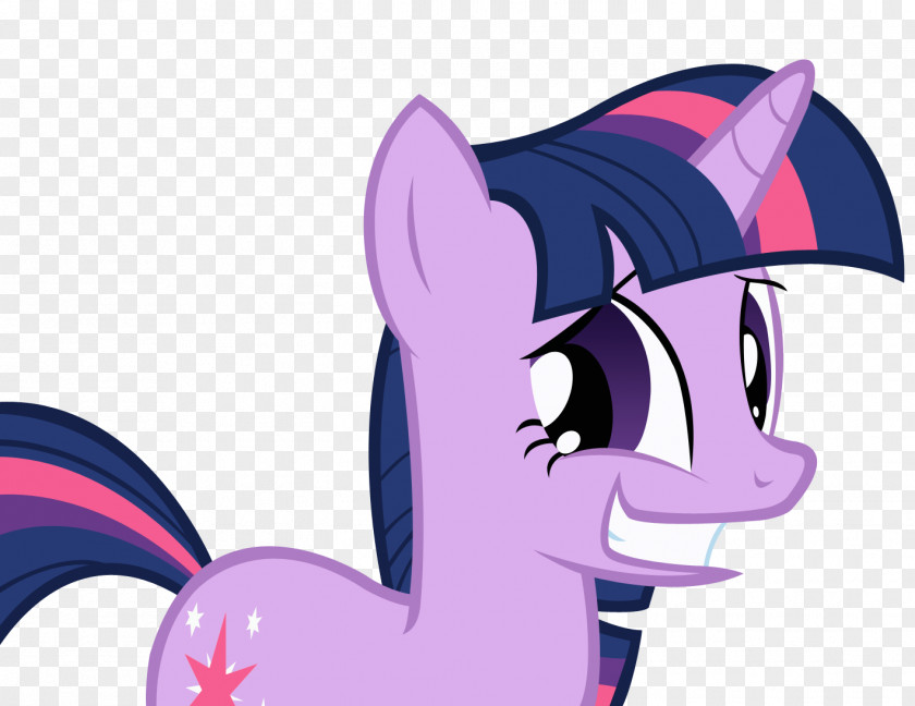My Little Pony Twilight Sparkle Fluttershy Rainbow Dash Applejack PNG