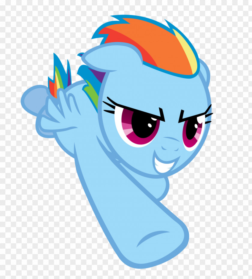Youtube Rainbow Dash Pony Rarity Twilight Sparkle Sonic Rainboom PNG