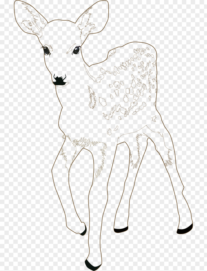 Author Illustration Reindeer /m/02csf Cattle Clip Art Drawing PNG