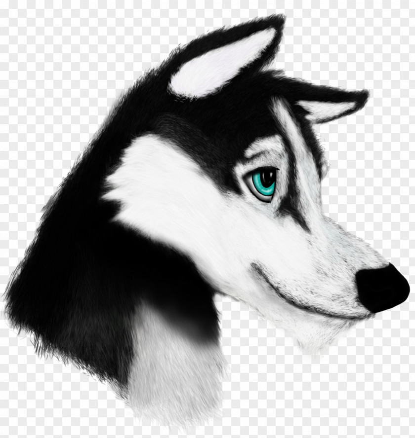 Dog Breed Siberian Husky Sakhalin Alaskan Klee Kai Malamute PNG