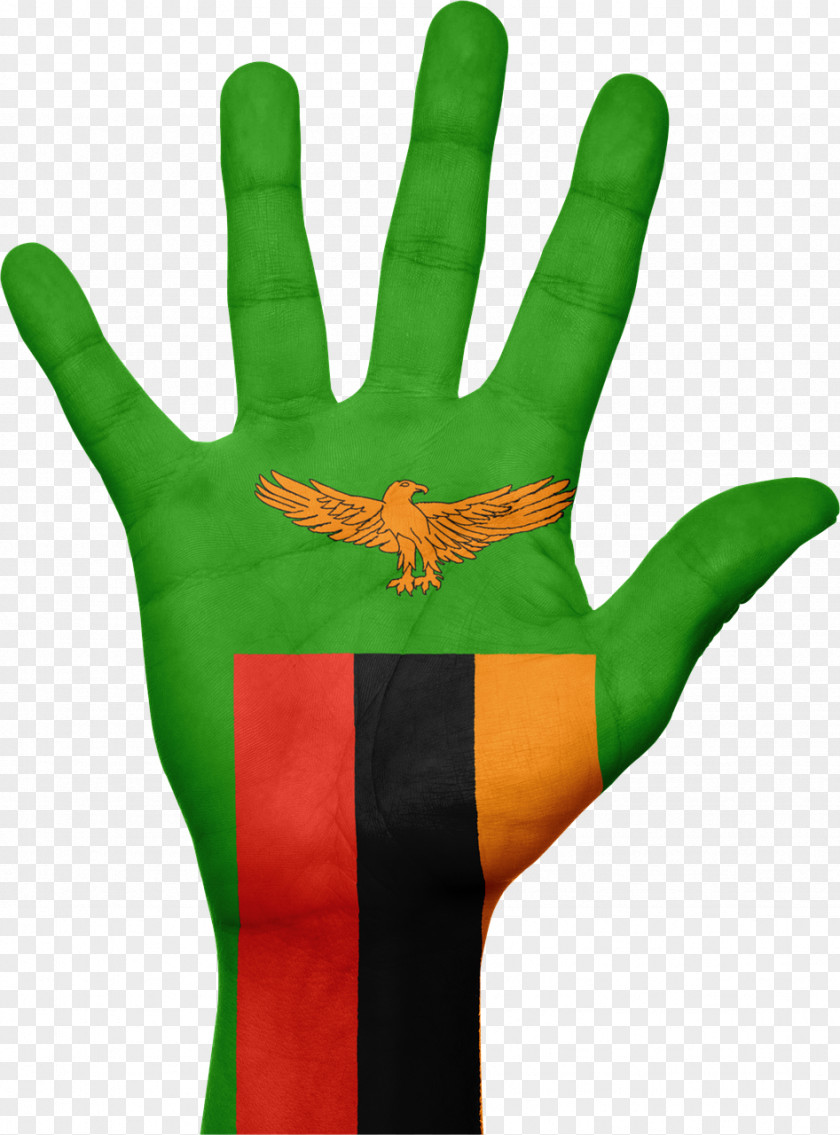 Flag Of Zambia Information PNG