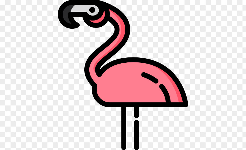 Flamingo Vector PNG