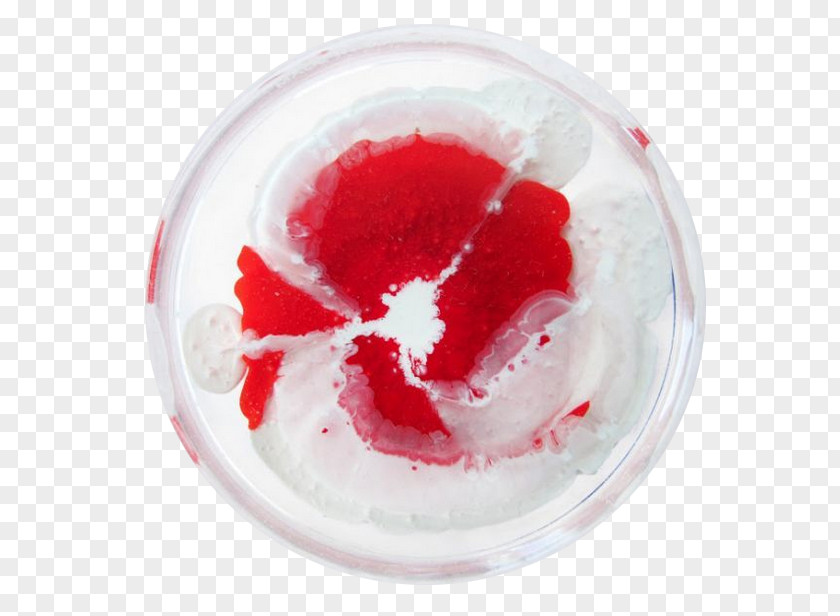 Red Plate Cells Petri Dish Painting Science Art Idea PNG