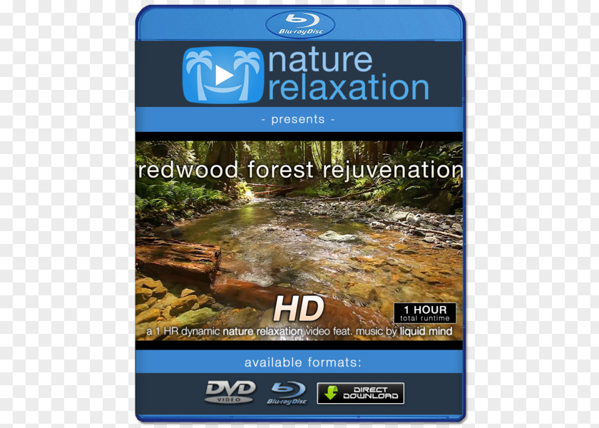 Redwood Blu-ray Disc 4K Resolution Ultra-high-definition Television 1080p PNG