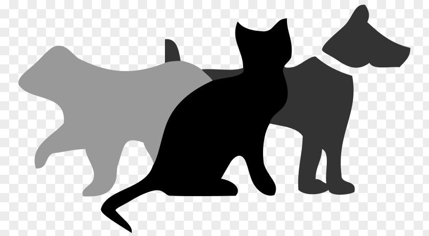 Black Dog And Cat Pictures Warriors Bluestar's Prophecy Wikipedia Clip Art PNG