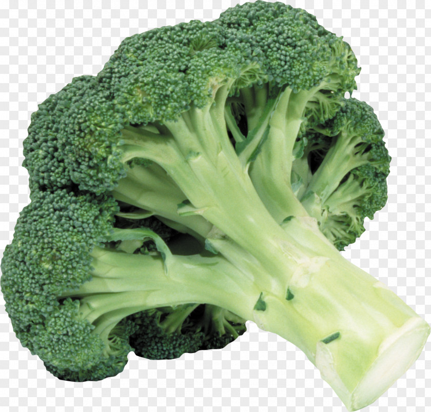 Broccoli Image Romanesco Clip Art PNG