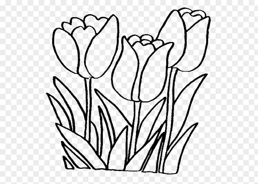 Flower Coloring Book Bouquet Drawing PNG