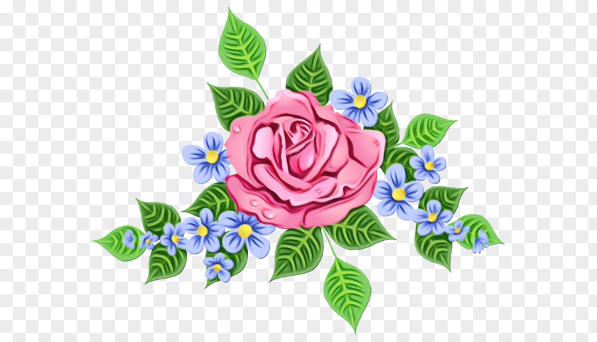 Garden Roses Plant Blue Rose PNG