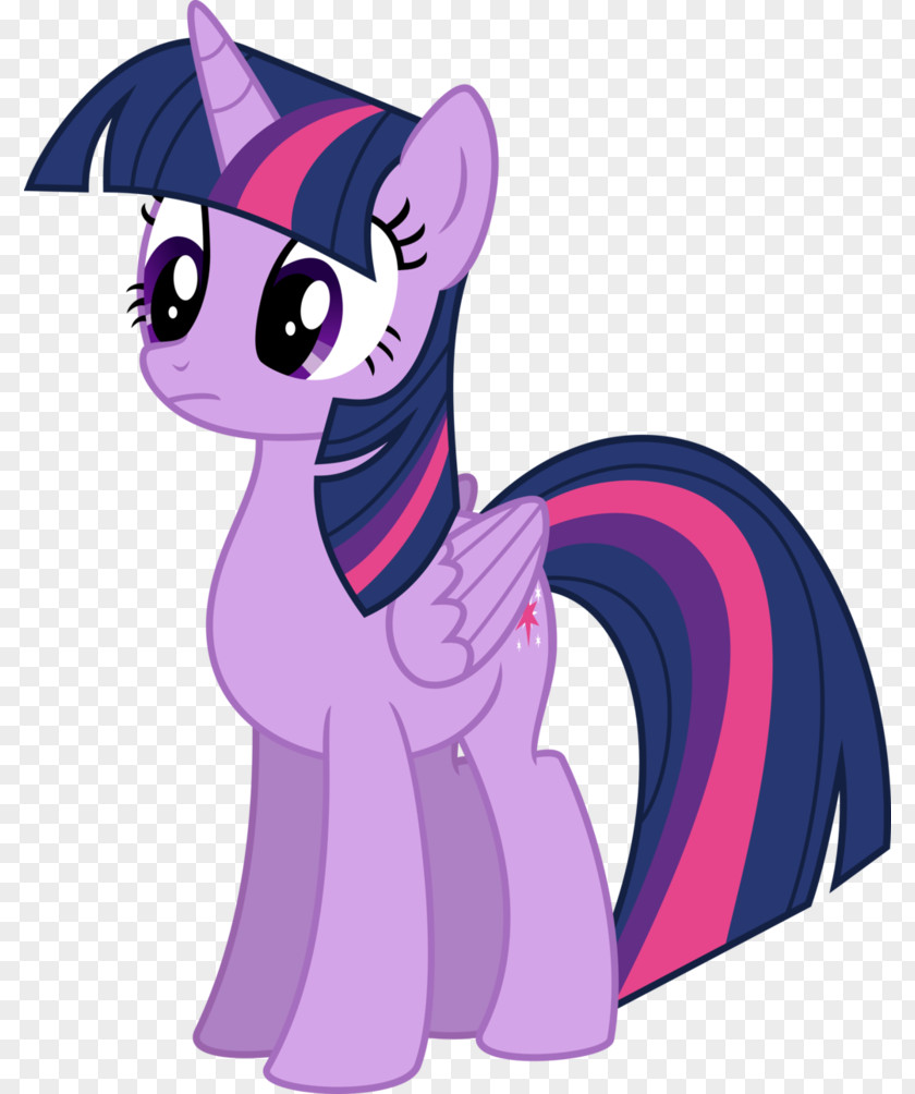 Sparkle Twilight Pony Pinkie Pie Rarity Winged Unicorn PNG