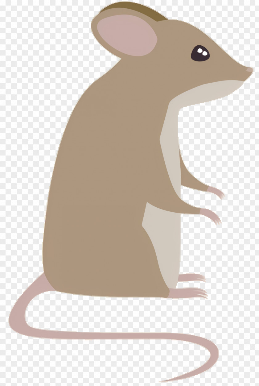 Tail Gerbil Cartoon Mouse PNG