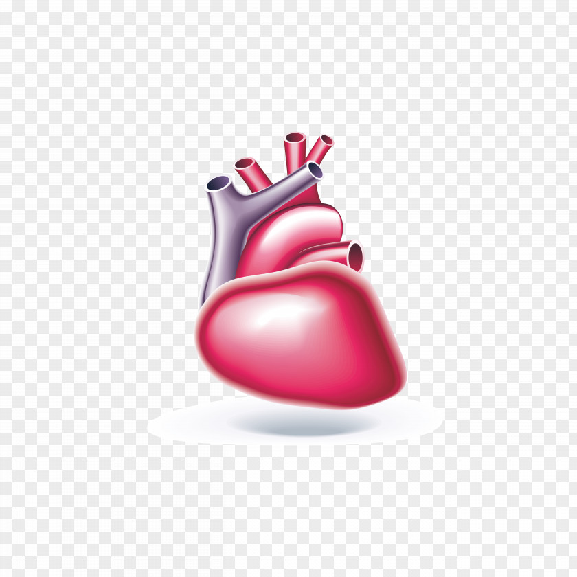 The Heart Of Painted Drawings PNG