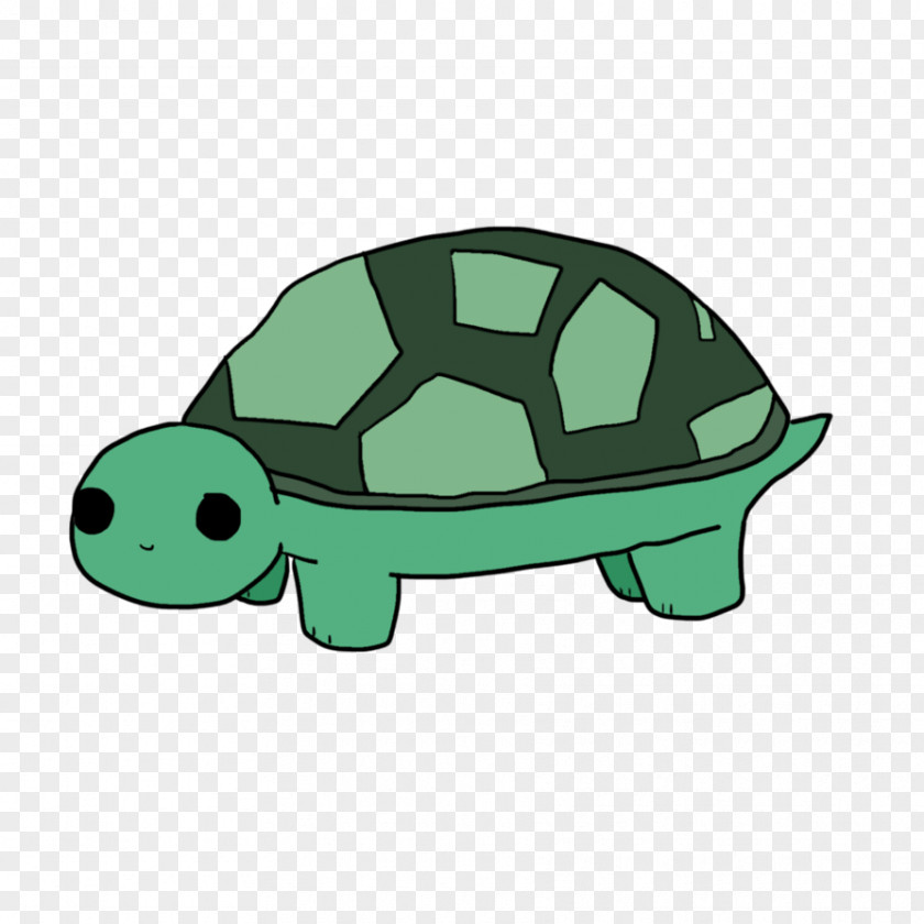 Turtle Tortoise Sea PNG