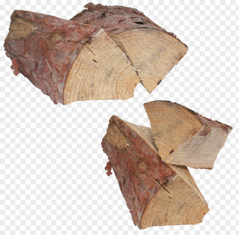 Wood Lumber Woodchips Fibre Tree PNG