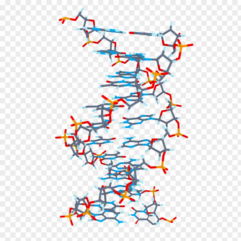 Biology DNA Clip Art PNG
